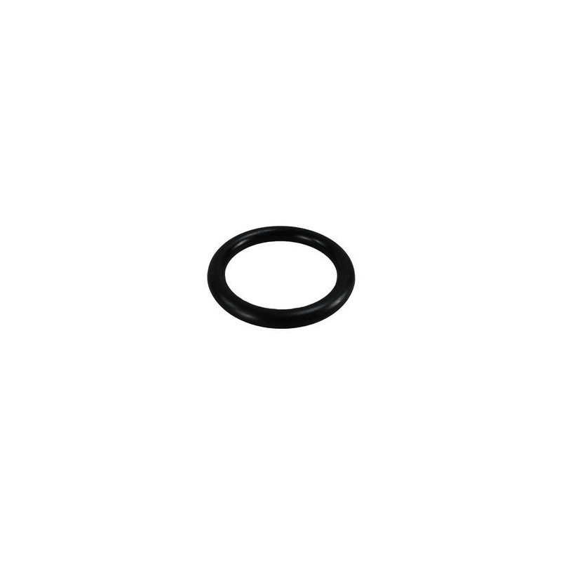 Jabsco Piston O-Ring