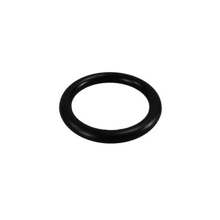 Jabsco Piston O-Ring