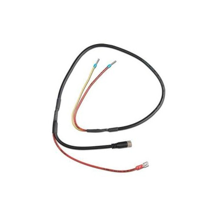 VE.Bus BMS naar BMS 12-200 dynamo bedieningskabel