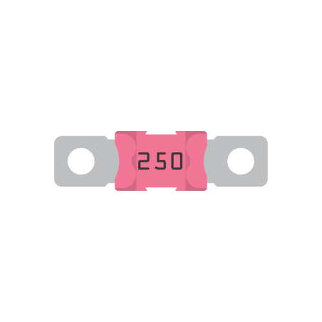 MEGA-fuse 250A/58V voor 48V producten