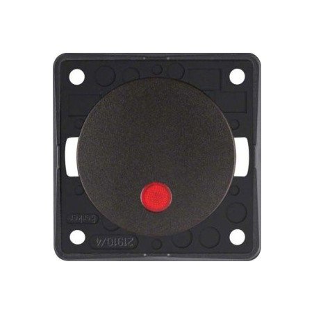 2-polige controle-uitschakelaar 12V