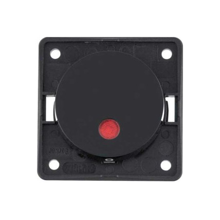 2-polige controle-uitschakelaar 12V