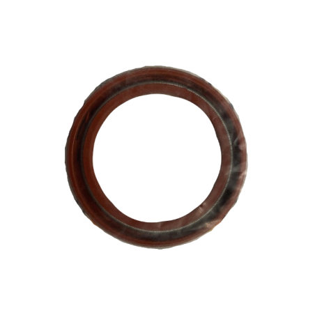 Lombardini Seal #1261127